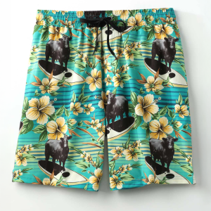 Men's Swim Trunks